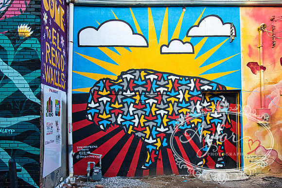 El Reno Grafitti Wall - Buffalo (IMG_3932)