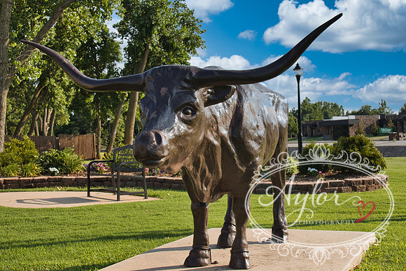 Yukon - Longhorn (IMG_3620)
