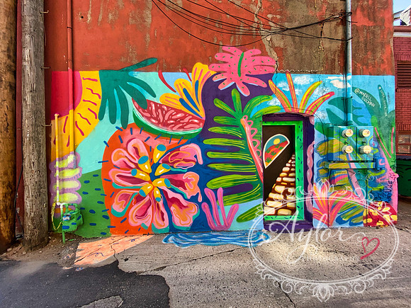 El Reno Graffiti Wall - Tropical (IMG_4323)
