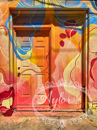El Reno Graffiti Wall - Door (IMG_4346)