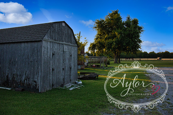 Country - Barn (IMG_3843)