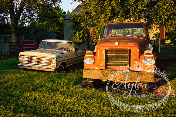 Country - Trucks (IMG_3841)