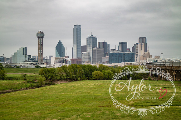 Dallas - City Skyline (IMG_1533)