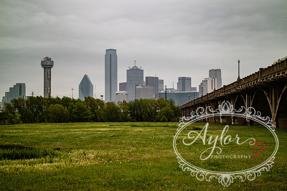 Dallas - City Skyline (IMG_1518)