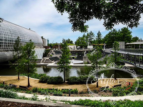 Myriad Botanical Gardens - Crystal Bridge Tropical Conservatory (OKCMAY-2018-114)