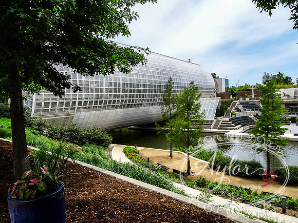Myriad Botanical Gardens - Crystal Bridge Tropical Conservatory (OKCMAY-2018-115)