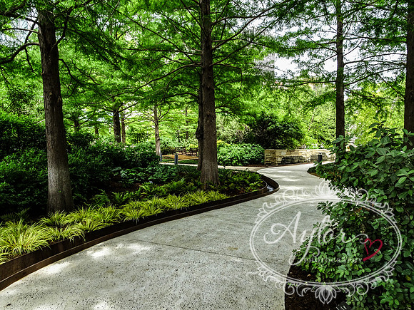 Myriad Botanical Gardens - Crystal Bridge Tropical Conservatory (OKCMAY-2018-118)