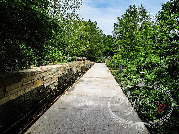 Myriad Botanical Gardens - Crystal Bridge Tropical Conservatory (OKCMAY-2018-119)
