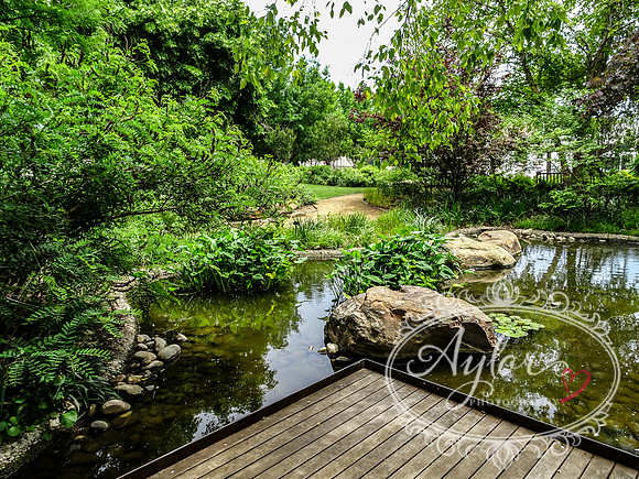 Myriad Botanical Gardens - Crystal Bridge Tropical Conservatory (OKCMAY-2018-120)