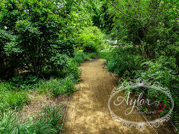 Myriad Botanical Gardens - Crystal Bridge Tropical Conservatory (OKCMAY-2018-121)