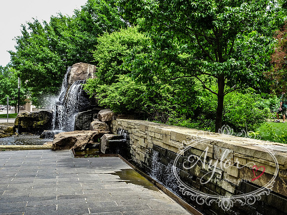 Myriad Botanical Gardens - Crystal Bridge Tropical Conservatory (OKCMAY-2018-122)