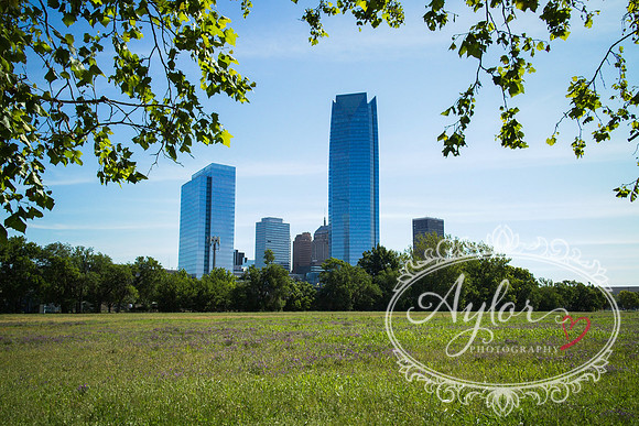 Hubcap Alley - Oklahoma City Skyline (IMG_1124a)