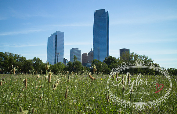 Hubcap Alley - Oklahoma City Skyline (IIMG_1130a)