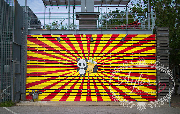 Deep Ellum - Boba Panda (IMG_1043)