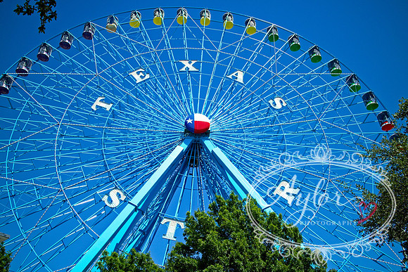 Texas Star Ferris Wheel - Dallas (IMG_1123)